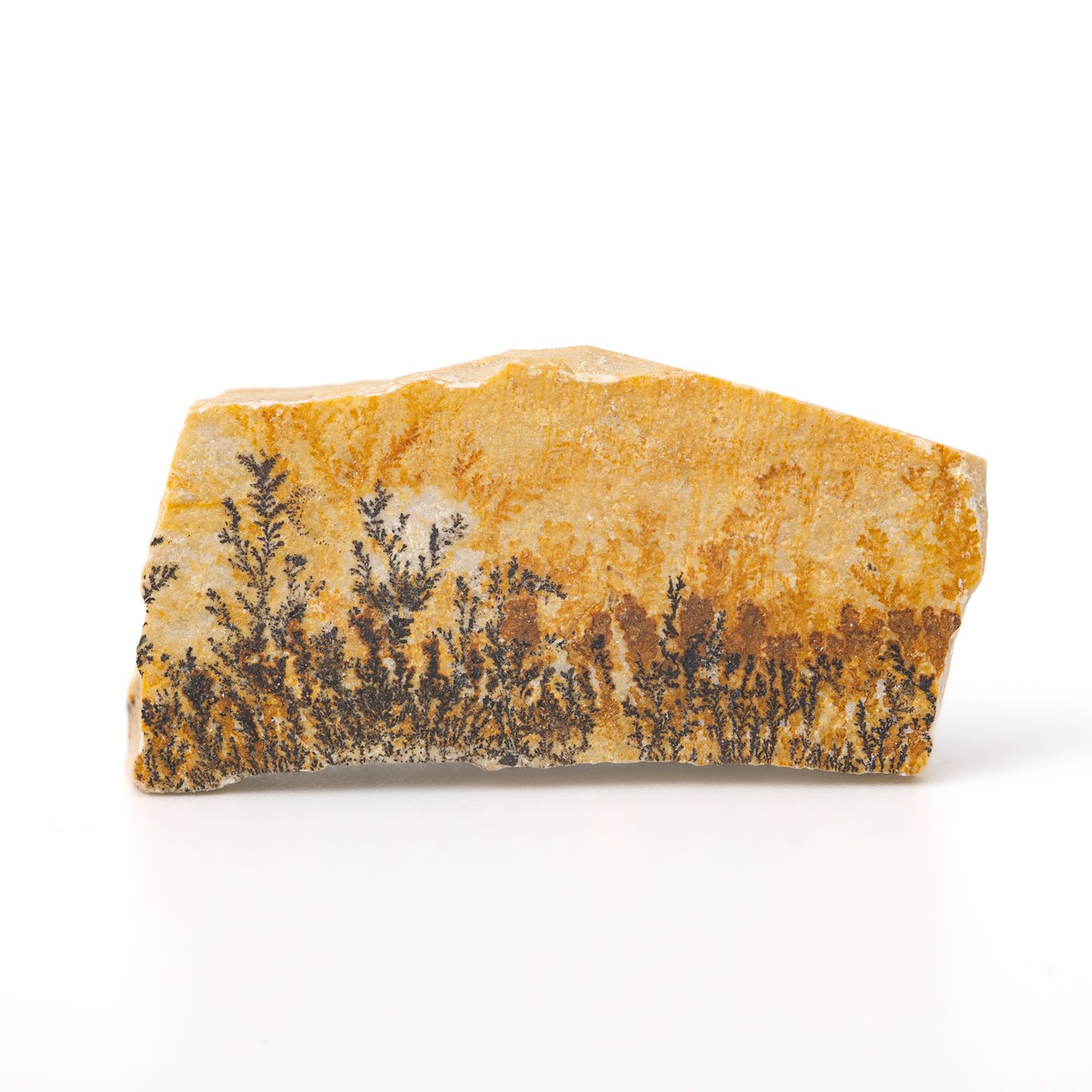 Dendrite Crystal - Roughly 1 inch, varies in size