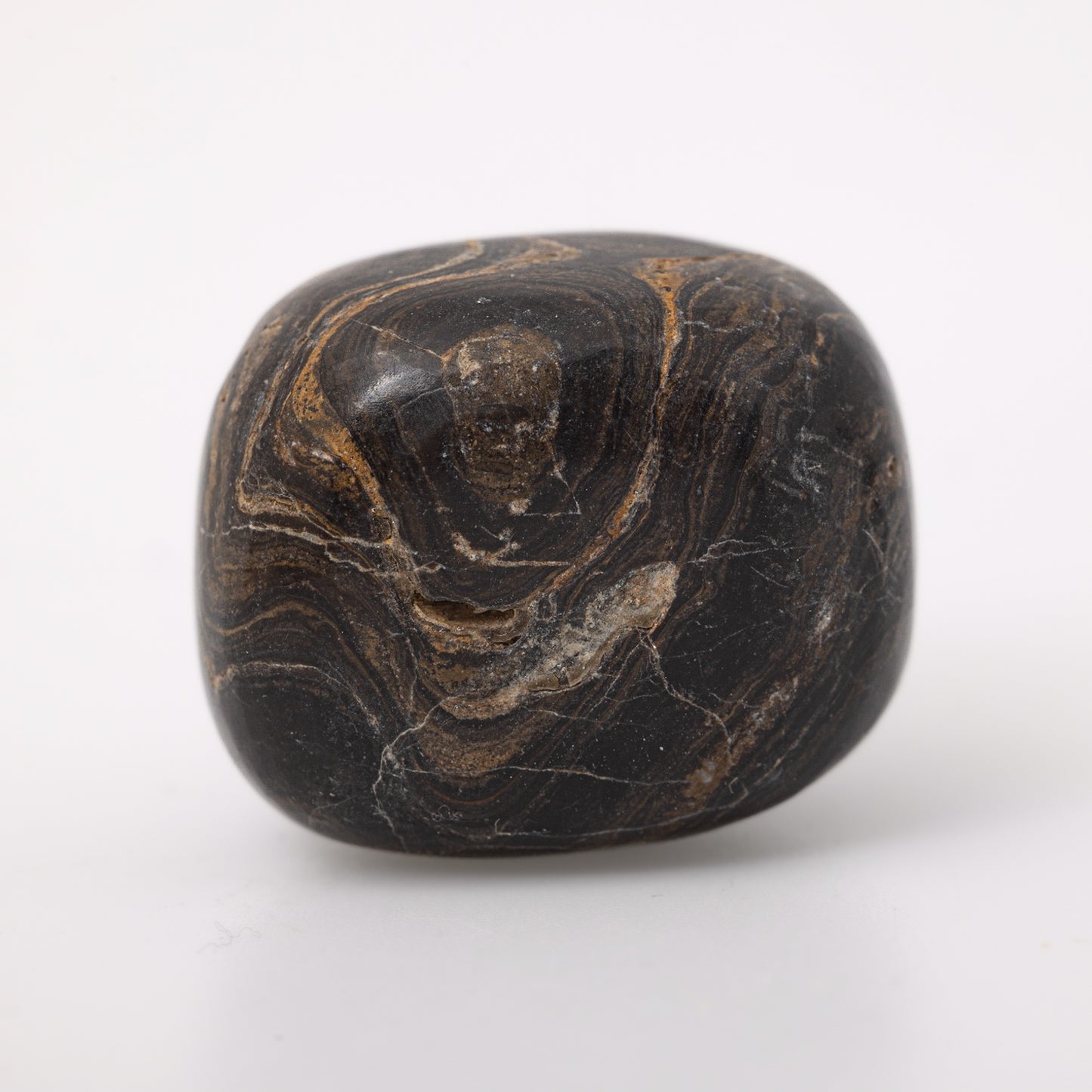 Stromatolite Tumbled