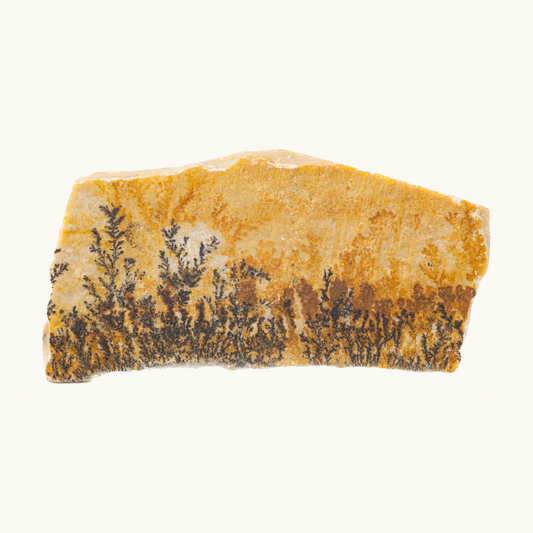 Dendrite Crystal - Roughly 1 inch, varies in size