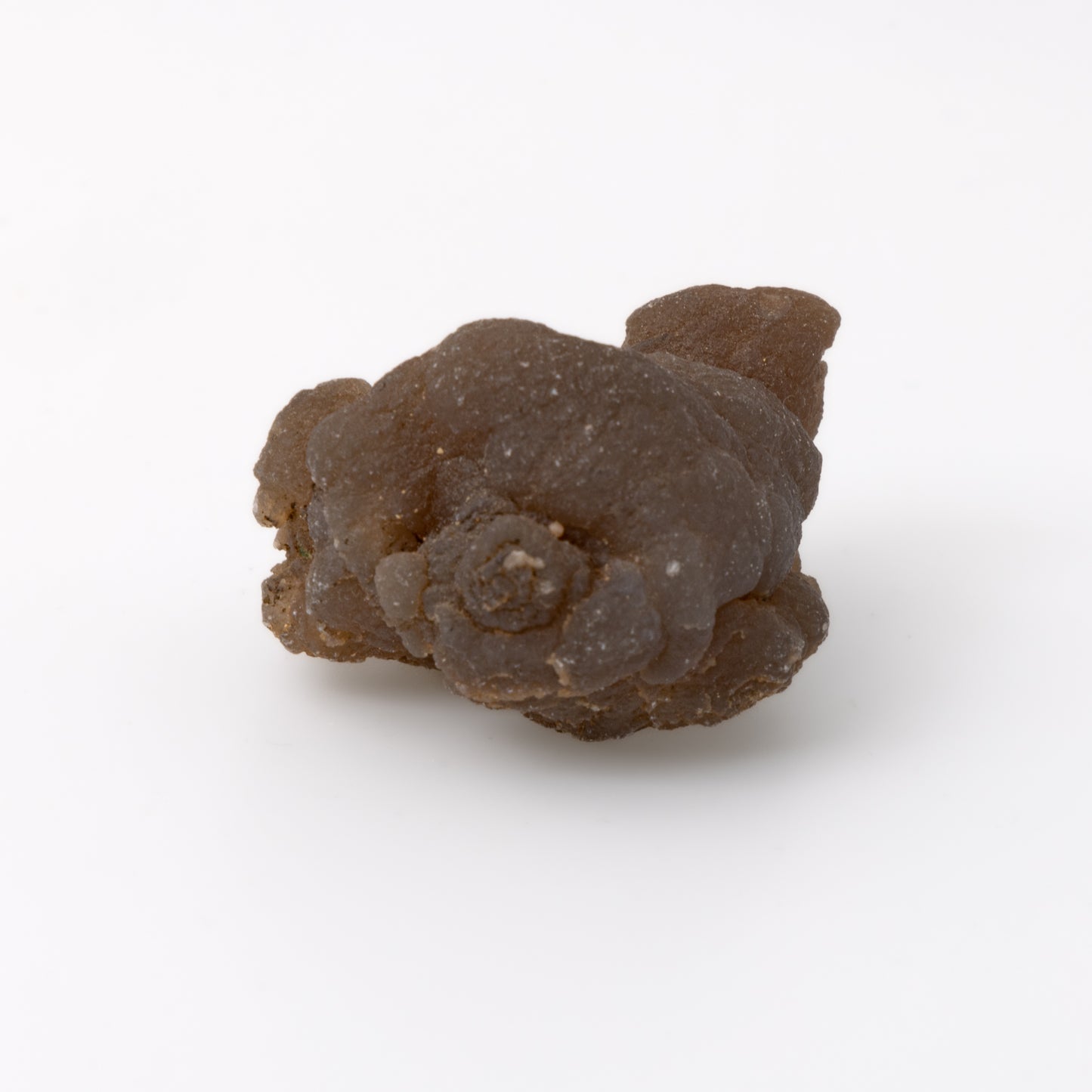 Truffle (Brown) Chalcedony