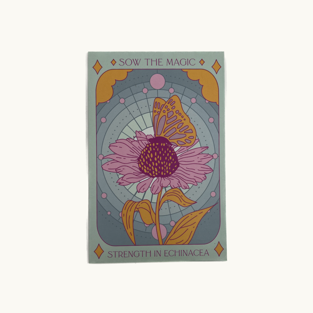 Strength In Echinacea Seed Packet