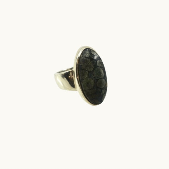 Pyritized Fossil Ring