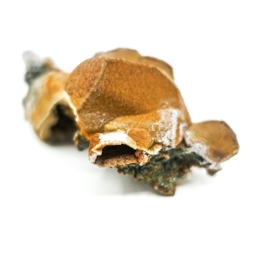 Siderite Epimorph after Calcite