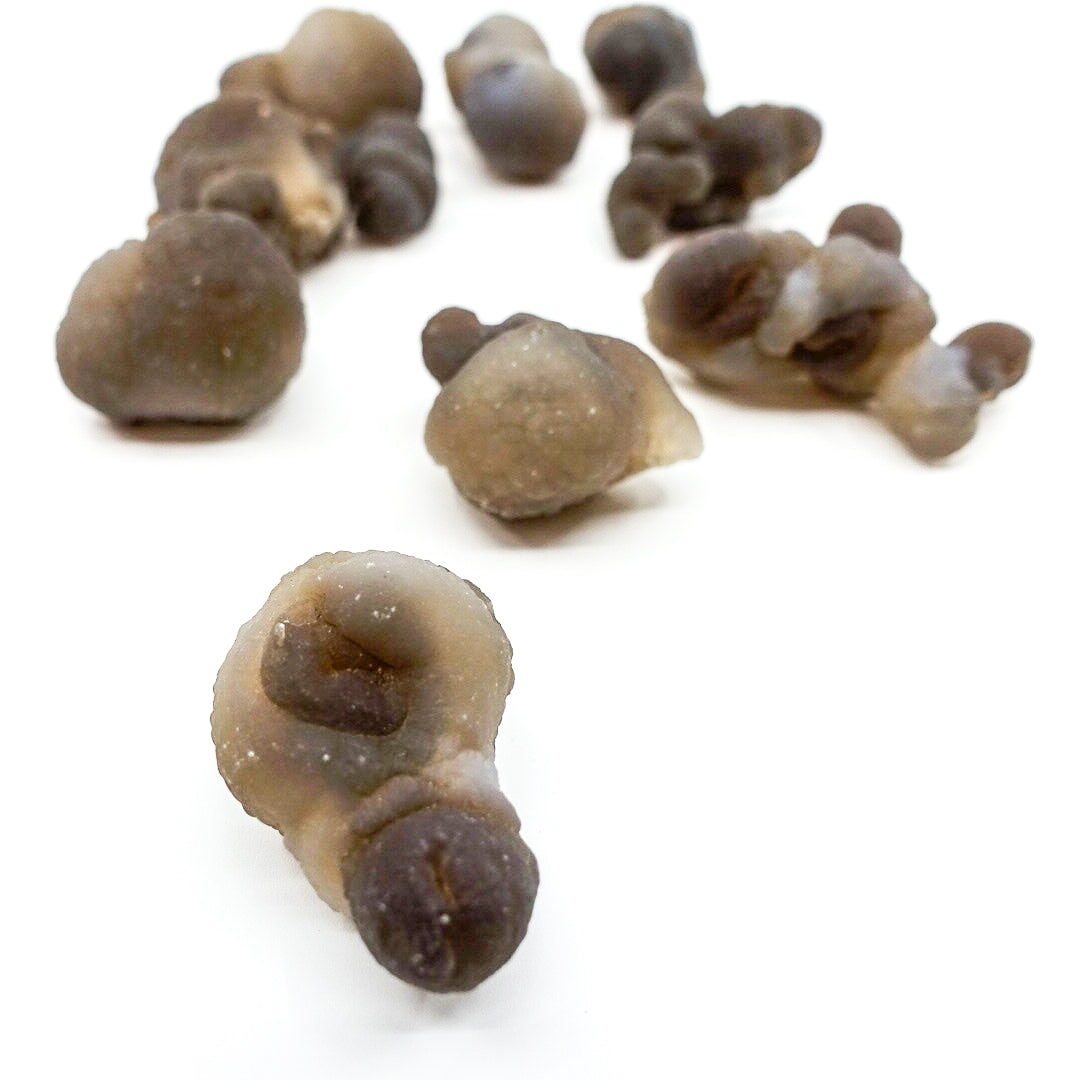 Truffle (Brown) Chalcedony