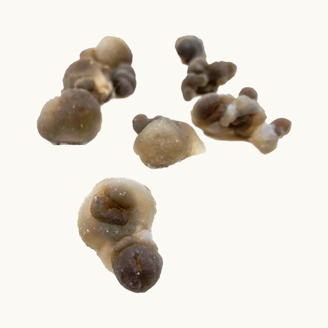 Truffle (Brown) Chalcedony