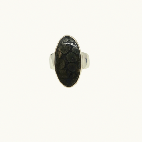 Pyritized Fossil Ring