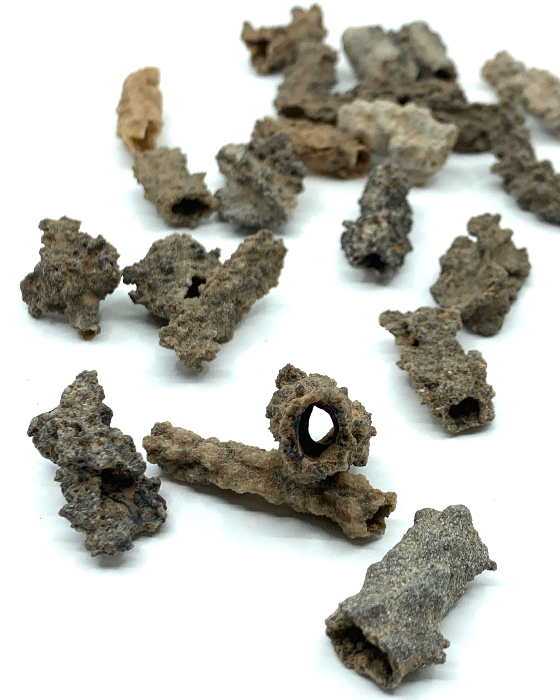 Rare Crystal Collection - Fulgurite Tubes - Manifestation Energy