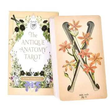 Antique Anatomy Tarot