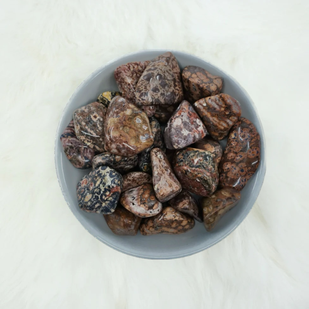 Leopard Skin Jasper Tumbled Crystal - Supreme Nurturer & Harmonious Energies - Juniper Stones