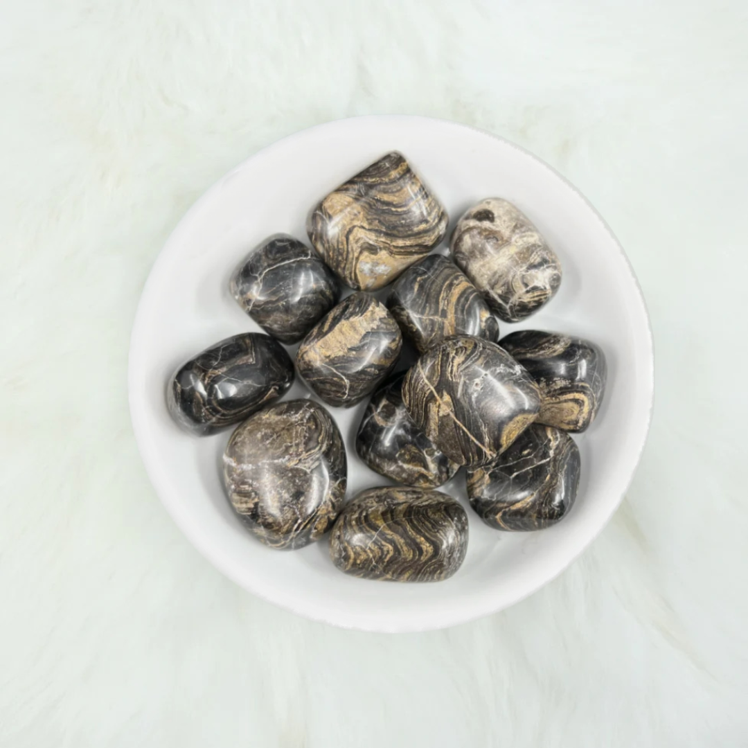 Stromatolite Tumbled Crystals - Harnessing Change & Eternal Knowledge - Juniper Stones