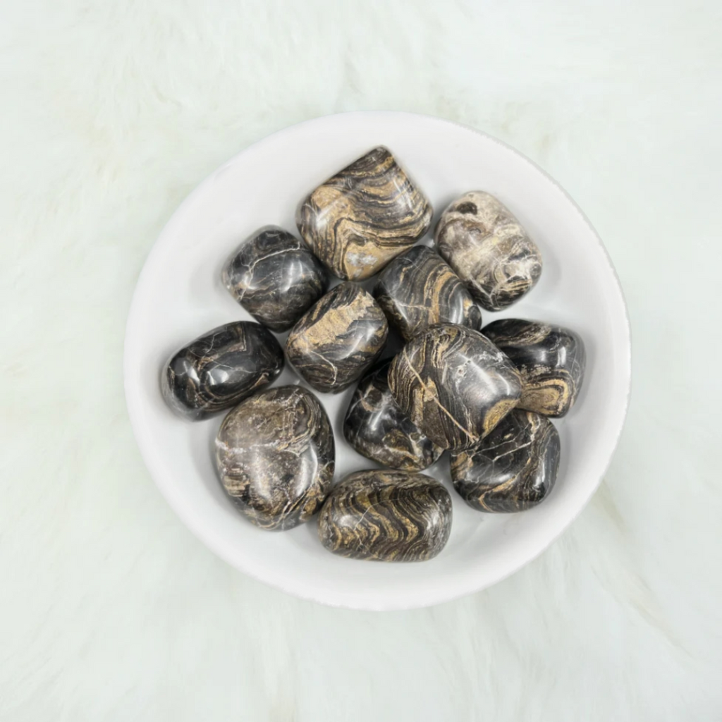 Stromatolite Tumbled Crystals - Harnessing Change & Eternal Knowledge - Juniper Stones
