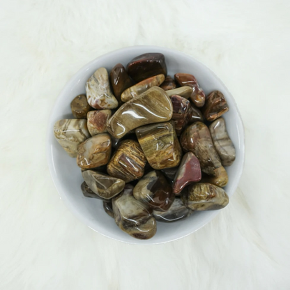 Petrified Wood Tumbled Crystals - Transformation & Inner Security - Juniper Stones