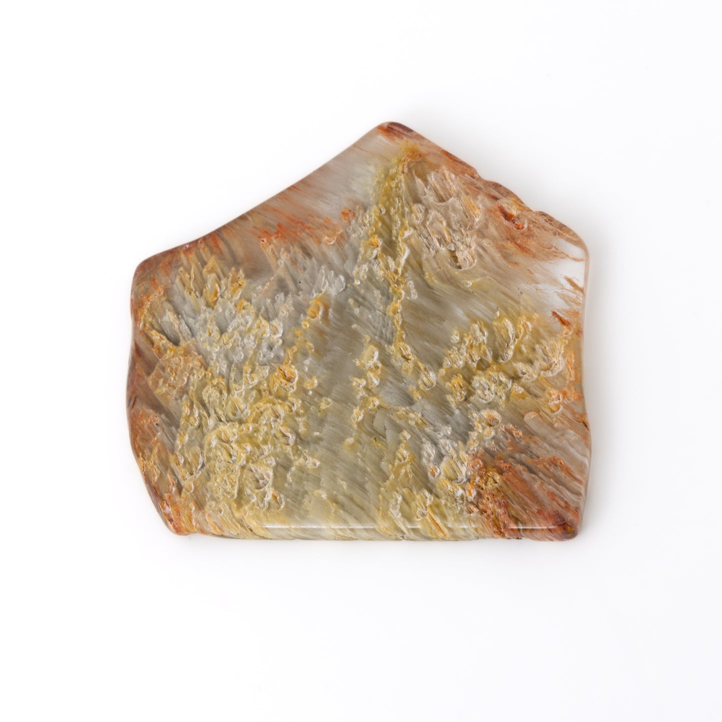 Polished Amphibole Quartz Slice - Channel love, beauty, joy, conduit to guardian angels