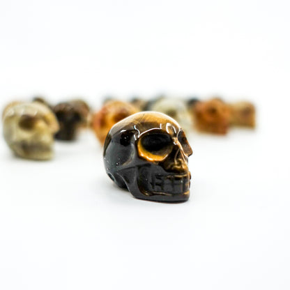 Mini Crystal Skulls Assorted Stones - 1" x 0.5" - Intuitively Chosen