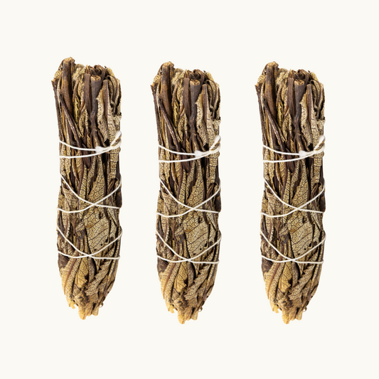 "Yerba Santa Herb" - A close-up image of Yerba Santa herb sticks, approximately 4 inches long, symbolizing its use for spiritual and respiratory purposes.