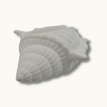 Ceramic Seashell Dish