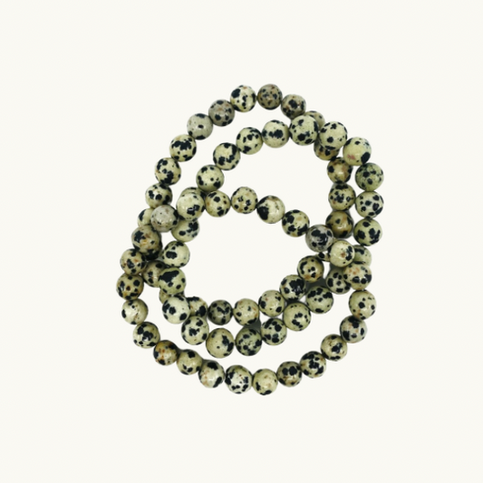 Dalmatian Jasper Beaded Bracelets - Experience positivity and protection with our Dalmatian Jasper bracelets, perfect for enhancing feelings of security and well-being. Available in 8mm size, each bracelet is uniquely chosen for you.