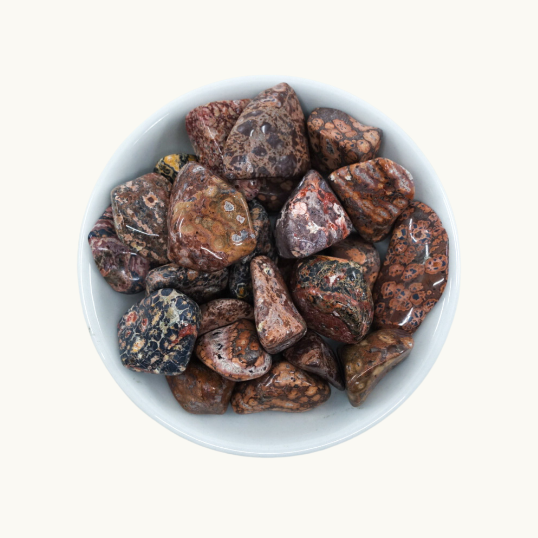 Leopard Skin Jasper Tumbled Crystal - Supreme Nurturer & Harmonious Energies - Juniper Stones