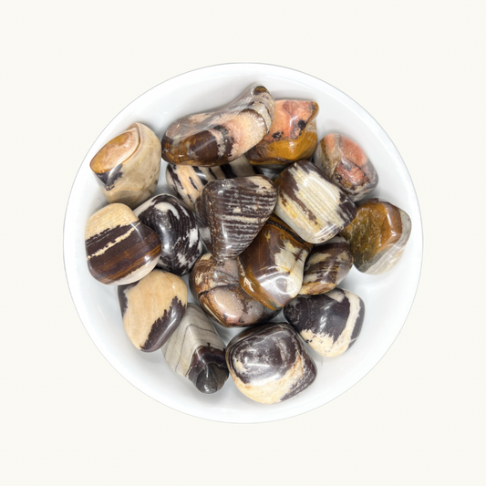 Nguni Jasper Tumbled Crystals - Protection and Grounding - Earth's Core Energy