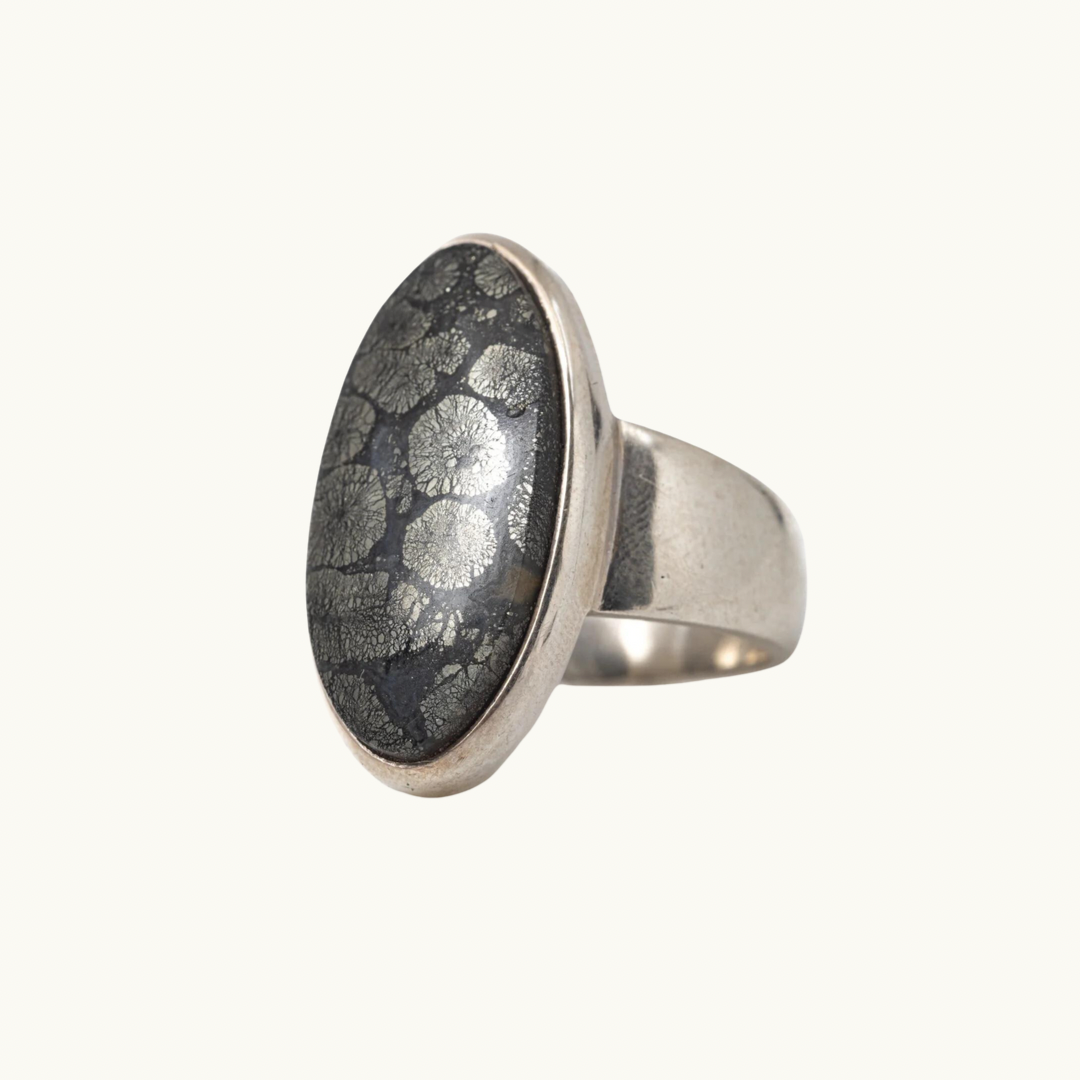 Pyritized Fossil Ring