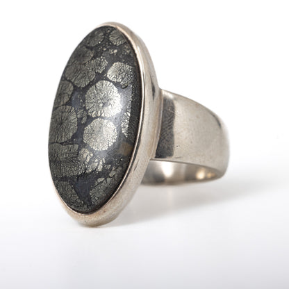 Pyritized Fossil Ring
